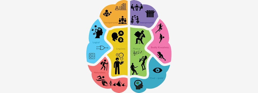 گاردنر 9 جنبه هوش را به شرح زیر توصیف کرده است: